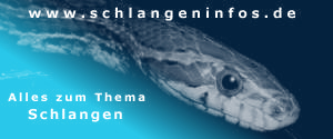 Schlangen: Biologie, Lebensweise, Pflege, Zucht von Philipp Berg